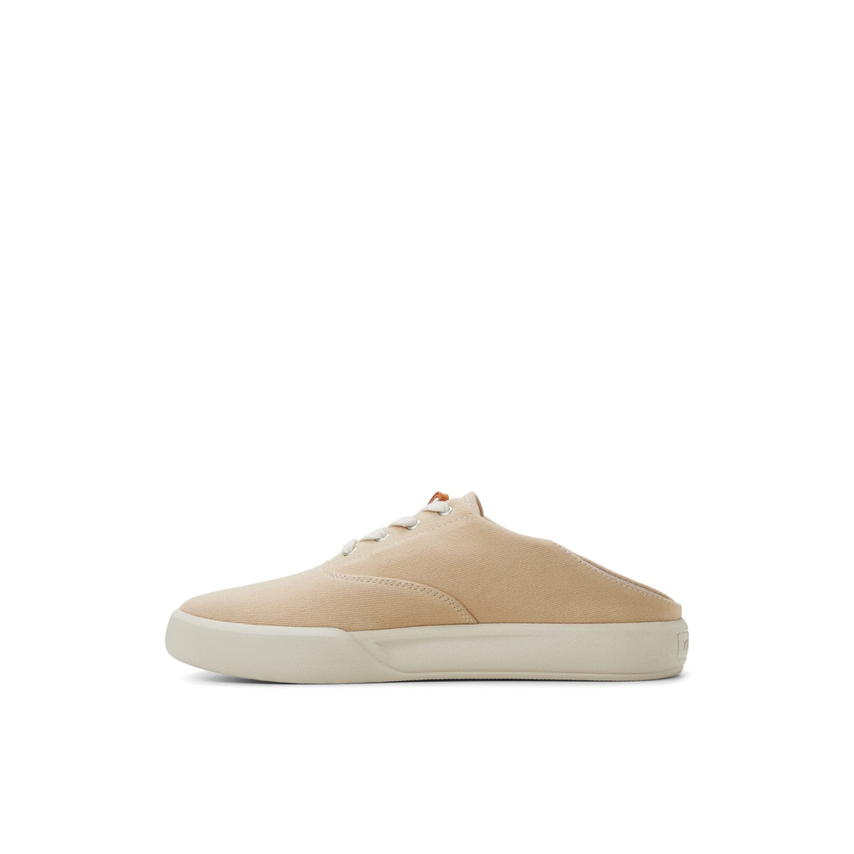 Coastal CVO Crush Sneaker image 2